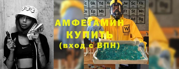 крисы Алексин