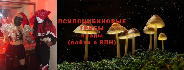 гашик Алексеевка