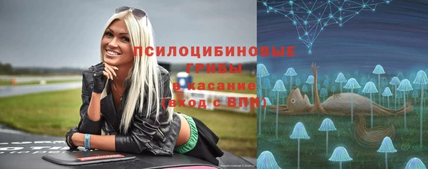 гашик Алексеевка