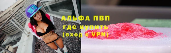 гашик Алексеевка